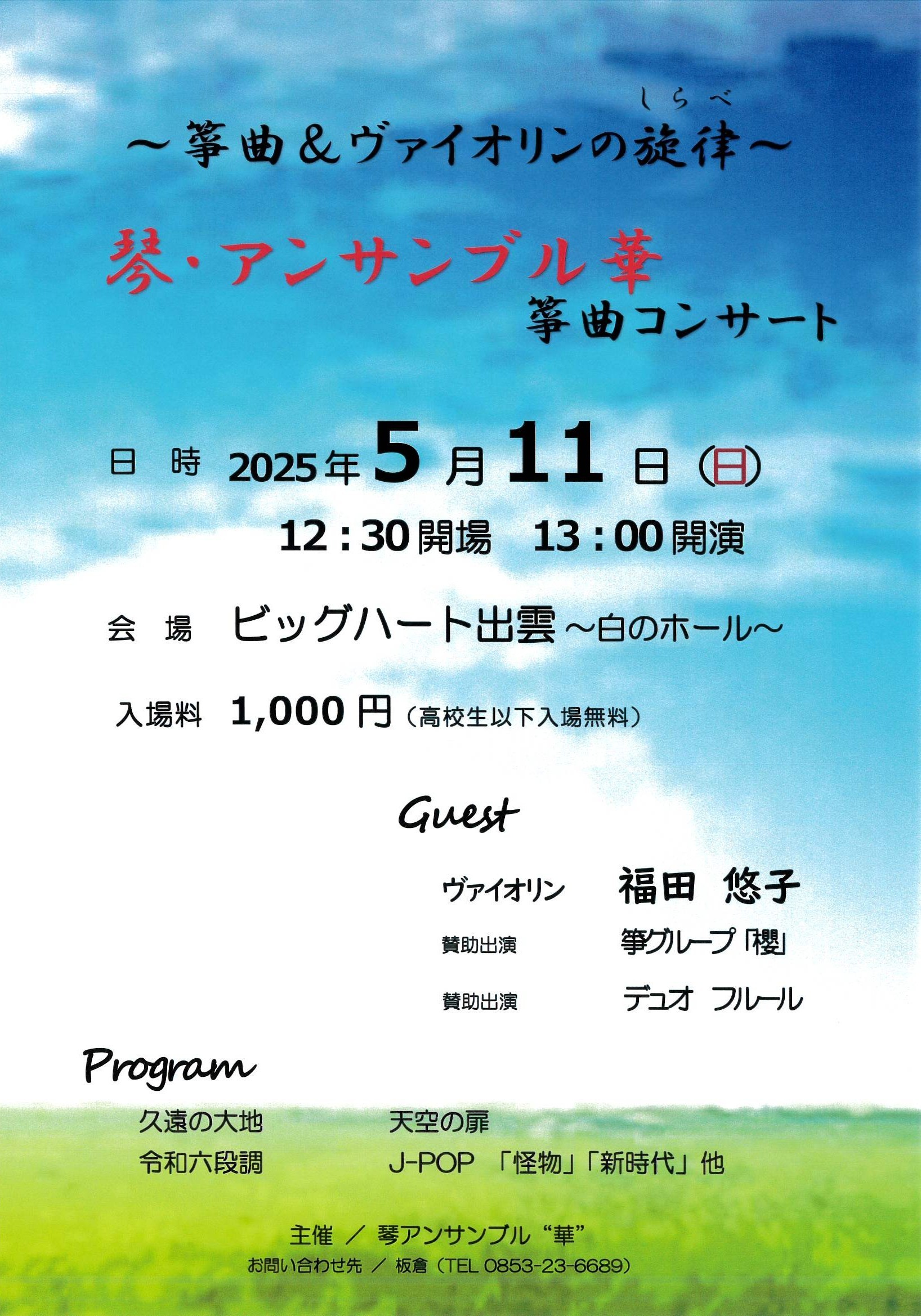 琴