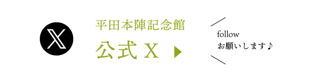 公式X